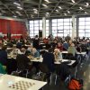 MEM 2012 (20)